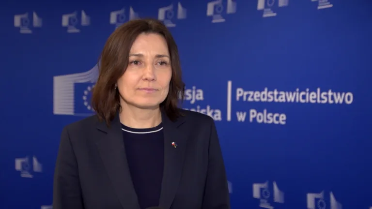 ReArm Europe: Inwestycje w obronność UE na poziomie 800 mld euro