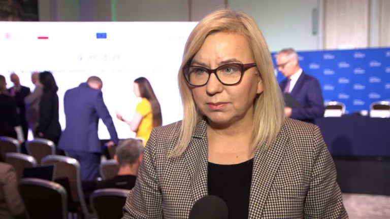 Modernizacja sieci energetycznej w Polsce: Enea zdobywa 9 mld zł na rozwój OZE i poprawę bezpieczeństwa energetycznego