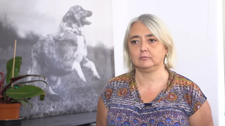 Sytuacja bezdomnych zwierząt w Polsce w 2023 roku: Raport NIK o wyzwaniach schronisk