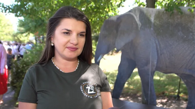 Ochrona Słów Afrykańskich: Kluczowe Fakty o Ich Zagrożeniu w Warszawskim Zoo